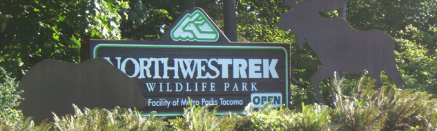 Northwest Trek Wildlife Park