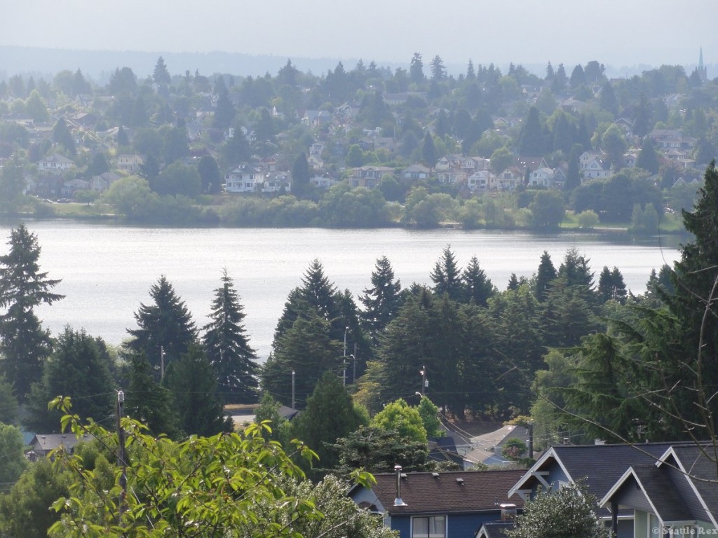 View from green lake real estate